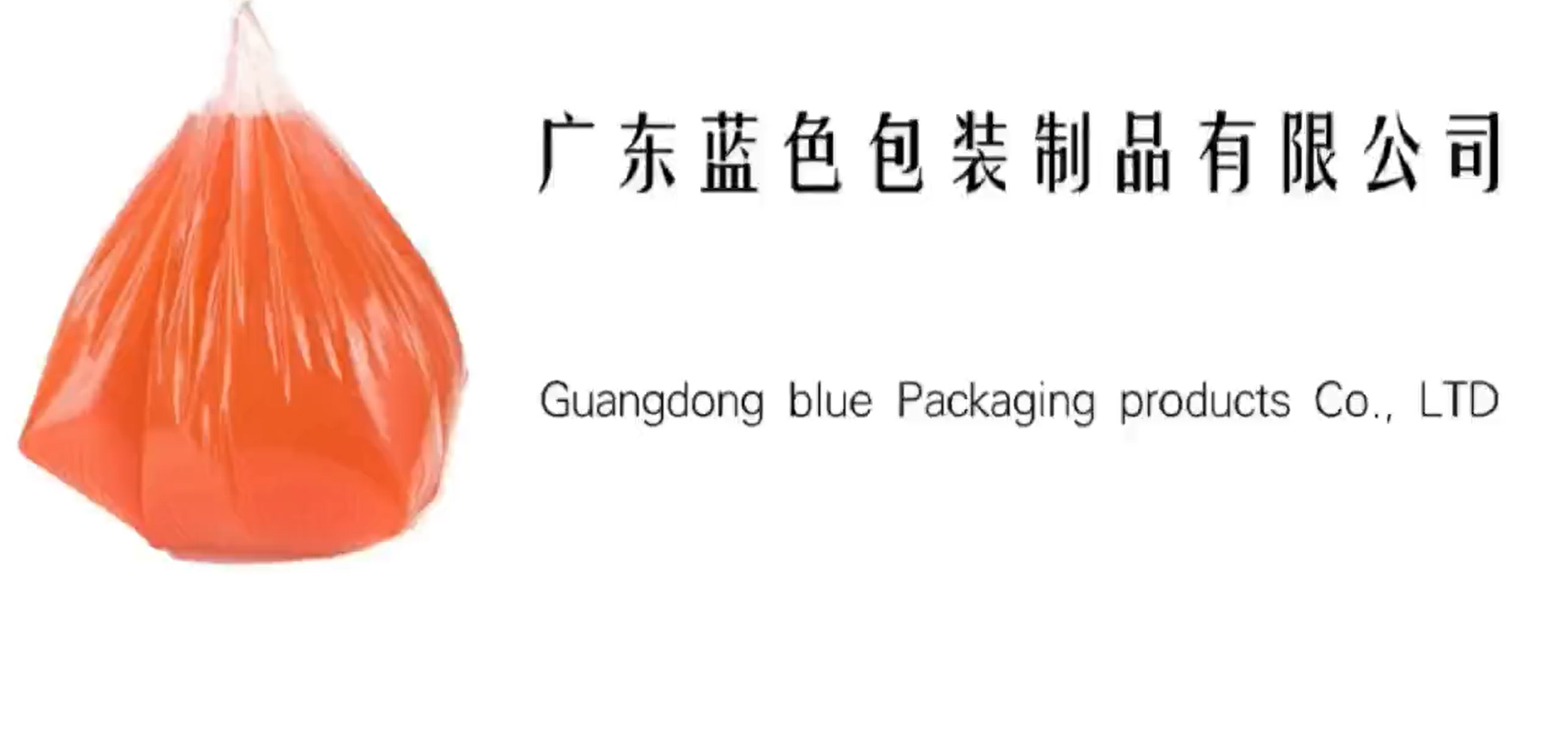 廣東藍色包裝(zhuāng)制品有(yǒu)限公(gōng)司
